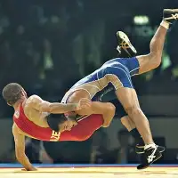 Чемпионат области по борьбе вольной