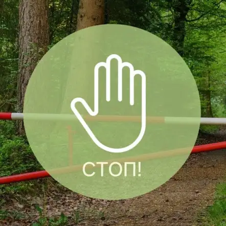 Запреты и ограничения на посещение лесов